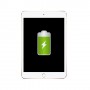 Remplacement batterie Apple iPad mini 4